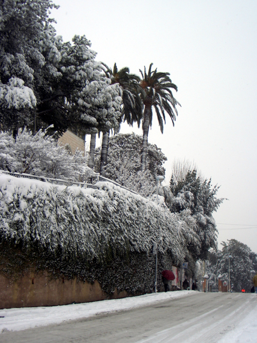 Genoa snowstorm, March 2005