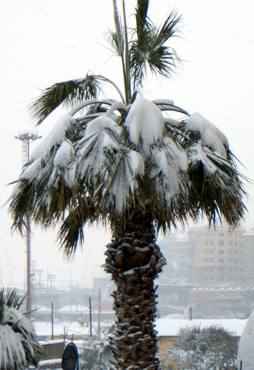 Genoa snowstorm, March 2005