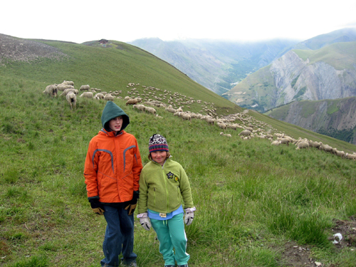 Jacob, Sophie, and sheep