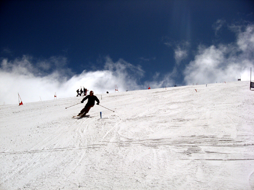 Chris in the brushes